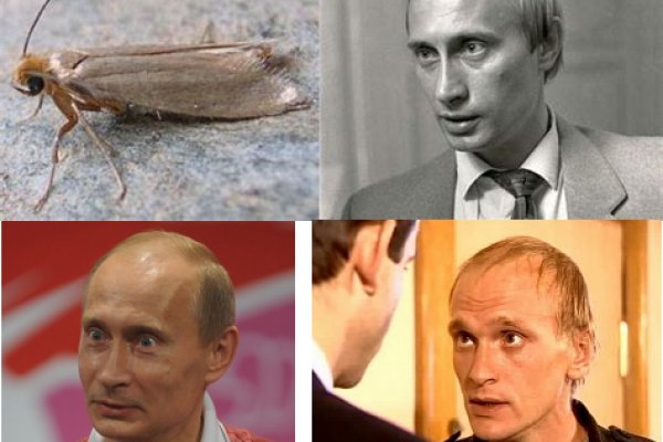 Кракена точка нет