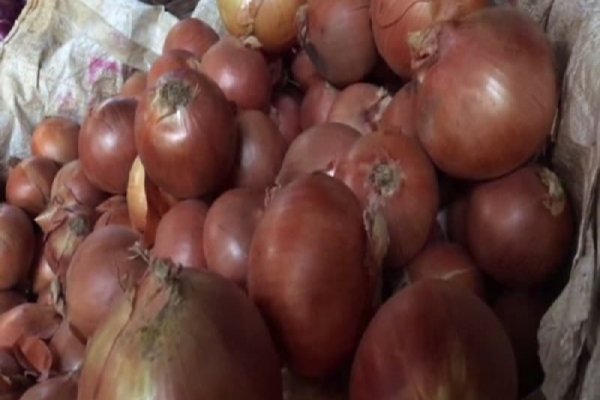 Кракен ссылка bazaonion com